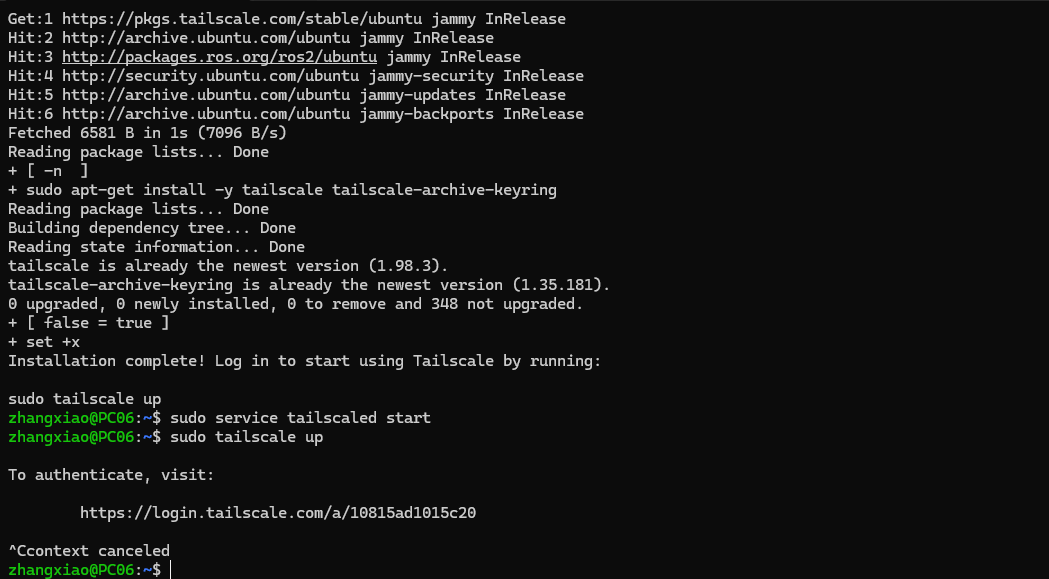 Tailscale 连接效果